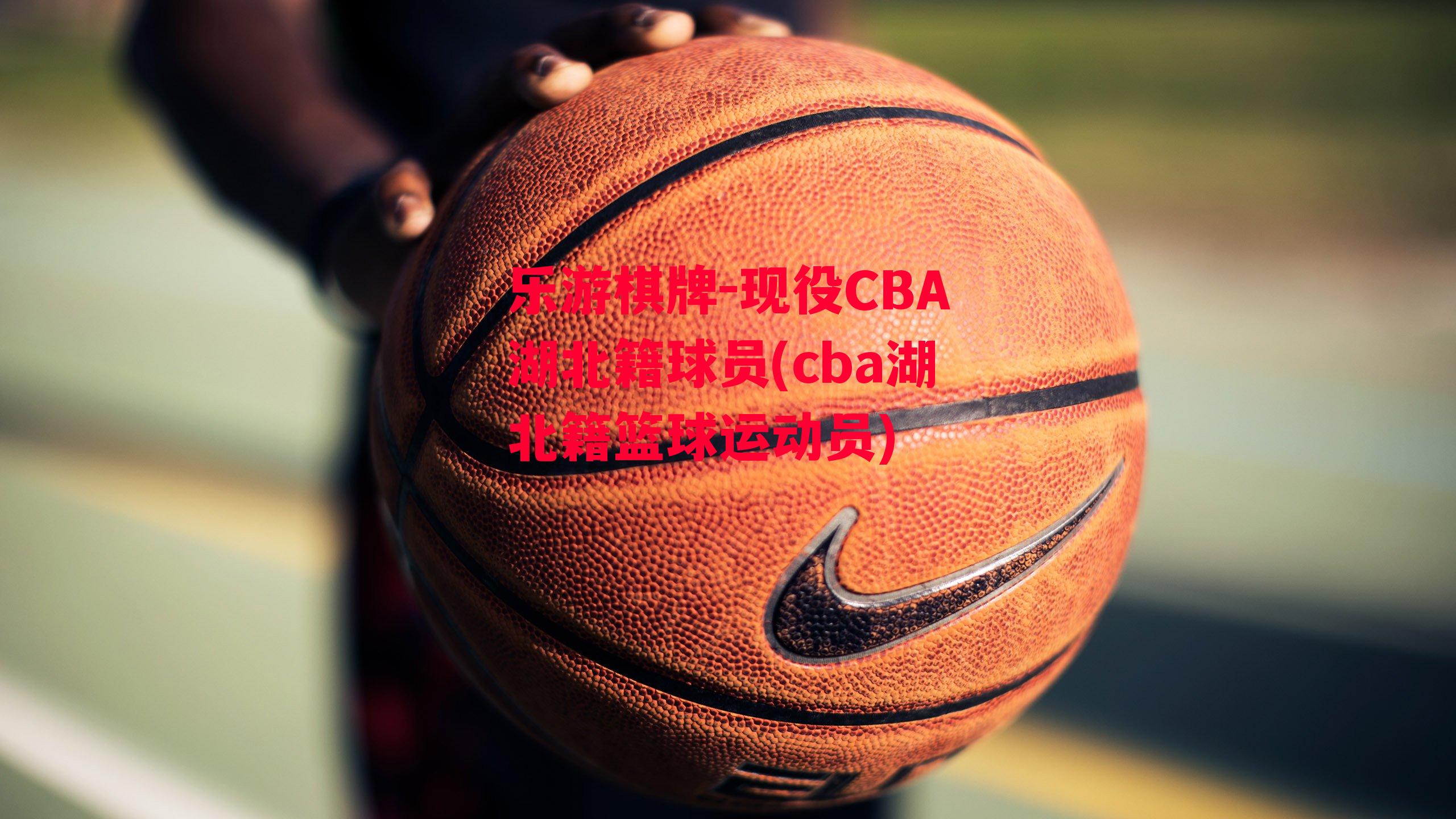 乐游棋牌-现役CBA湖北籍球员(cba湖北籍篮球运动员)